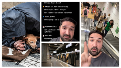 Cerșetoria, cu mult peste salariul unui medic sau IT-ist. Cât câștigă cei care se folosesc de animale pentru a atrage mila trecătorilor
